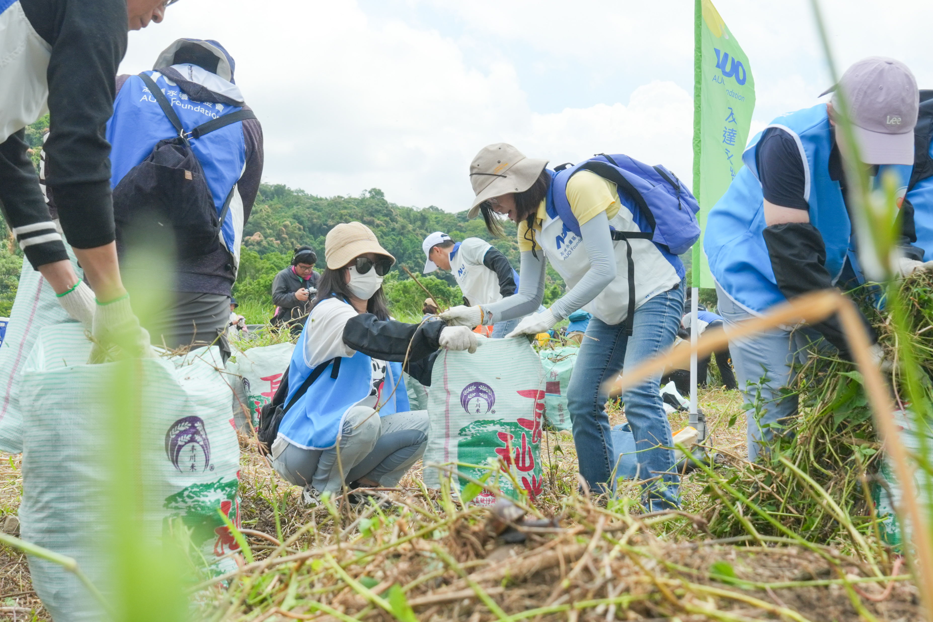 友達除蔓防治計畫 ，除了鎖定霄裡溪沿岸3.2公里移除外來入侵種小花蔓澤蘭  ，並進行物種與空拍調(diào)查，共記錄91科181屬239種維管束植物 ，顯示該區(qū)域具高度生態(tài)價值